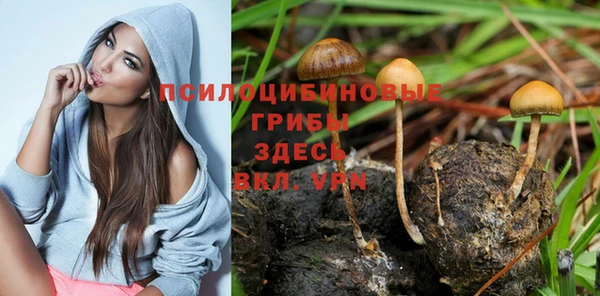 гашик Вязники